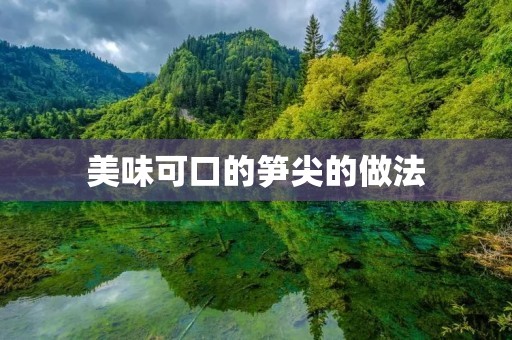 美味可口的笋尖的做法
