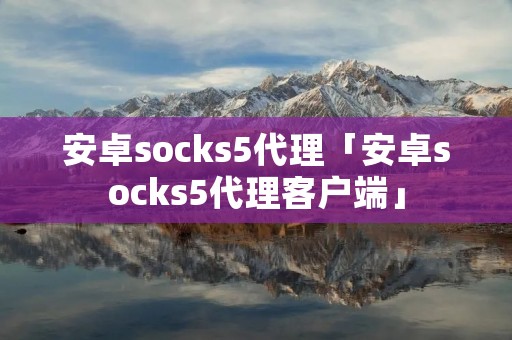 安卓socks5代理「安卓socks5代理客户端」