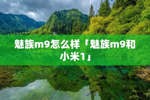 魅族m9怎么样「魅族m9和小米1」