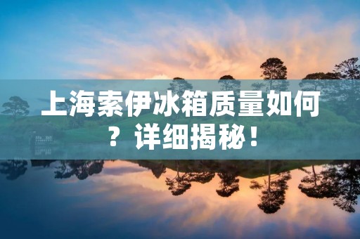 上海索伊冰箱质量如何？详细揭秘！