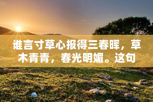 谁言寸草心报得三春晖,草木青青,春光明媚。这句诗句出自于唐代诗人杨万里的《临江仙·谁言寸草心报得三春晖》,意指即使是微不足道的小草,也能感受到春天的温暖和阳光的照耀。