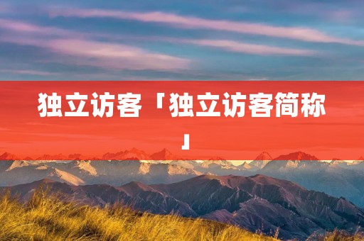 独立访客「独立访客简称」