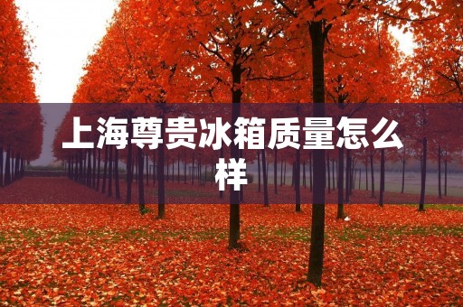 上海尊贵冰箱质量怎么样