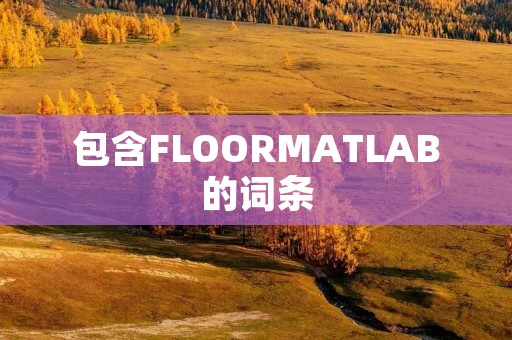 包含FLOORMATLAB的词条