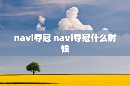 navi夺冠 navi夺冠什么时候