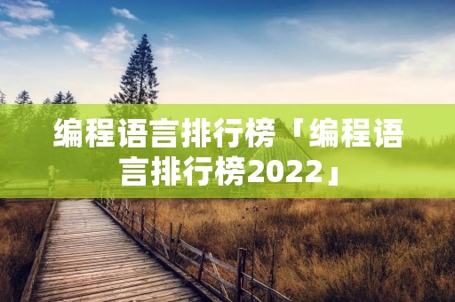 编程语言排行榜「编程语言排行榜2022」