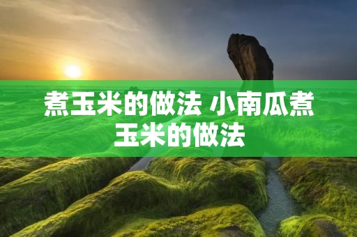 煮玉米的做法 小南瓜煮玉米的做法
