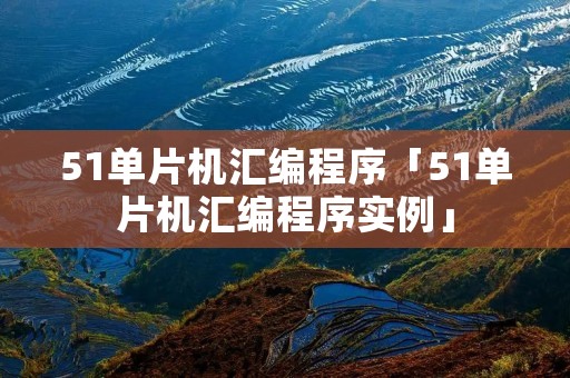 51单片机汇编程序「51单片机汇编程序实例」