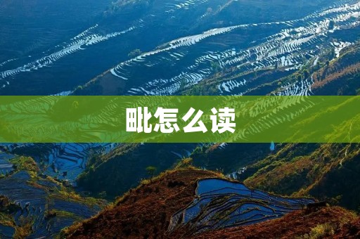 毗怎么读:揭秘古汉语中的发音之谜