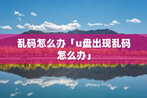乱码怎么办「u盘出现乱码怎么办」