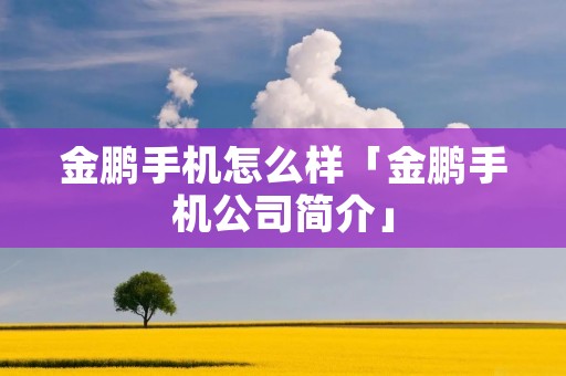 金鹏手机怎么样「金鹏手机公司简介」