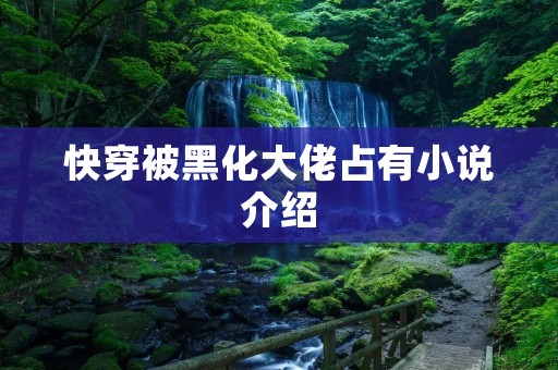 快穿被黑化大佬占有小说介绍