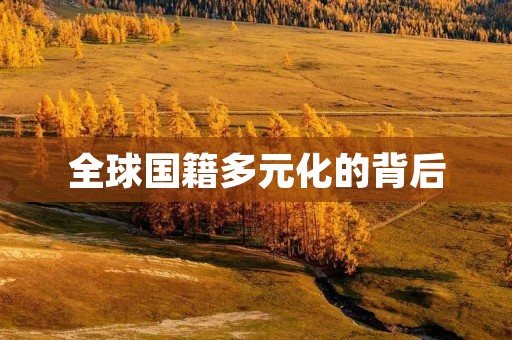 全球国籍多元化的背后