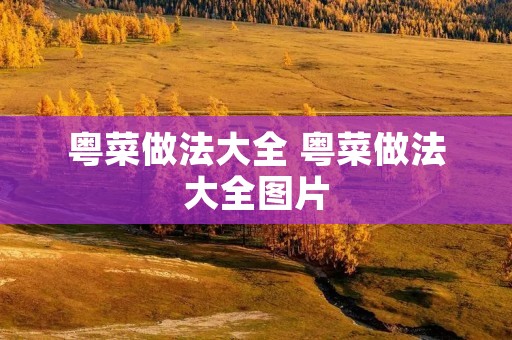 粤菜做法大全 粤菜做法大全图片