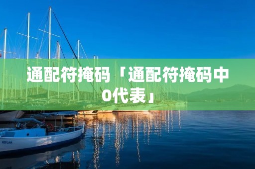 通配符掩码「通配符掩码中0代表」