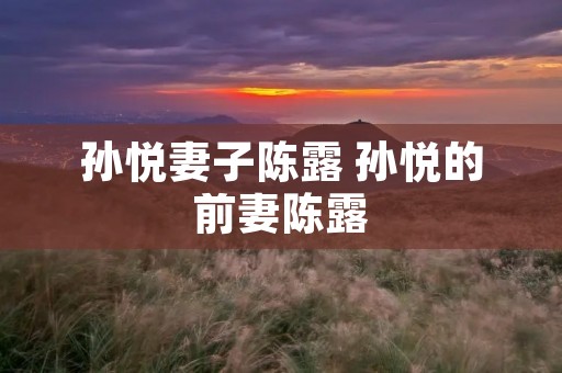 孙悦妻子陈露 孙悦的前妻陈露