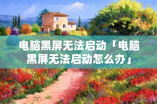 电脑黑屏无法启动「电脑黑屏无法启动怎么办」