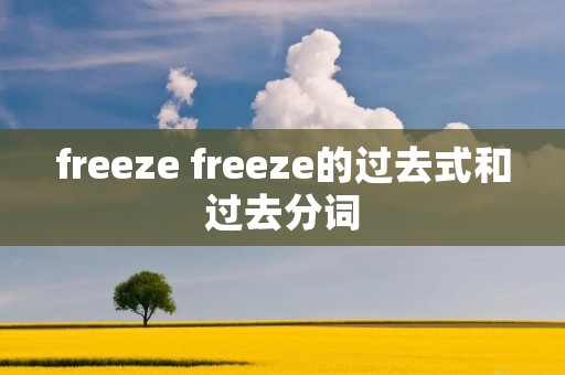 freeze freeze的过去式和过去分词