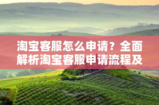 淘宝客服怎么申请？全面解析淘宝客服申请流程及注意事项