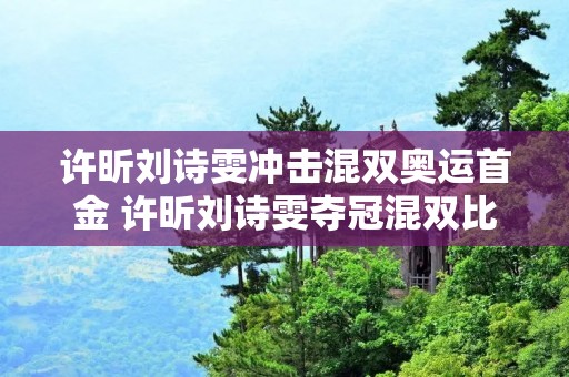 许昕刘诗雯冲击混双奥运首金 许昕刘诗雯夺冠混双比赛视频