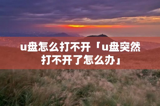 u盘怎么打不开「u盘突然打不开了怎么办」