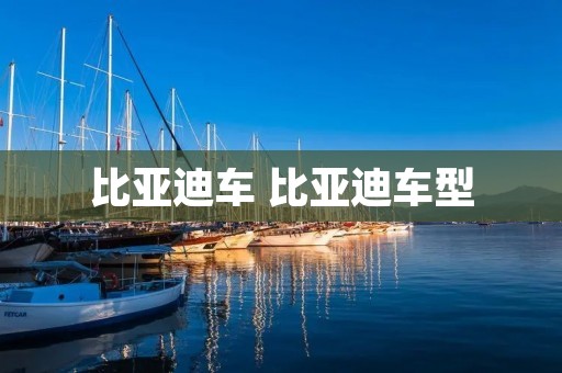 比亚迪车 比亚迪车型