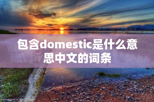 包含domestic是什么意思中文的词条 包含domestic是什么意思中文的词条