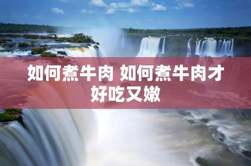 如何煮牛肉 如何煮牛肉才好吃又嫩