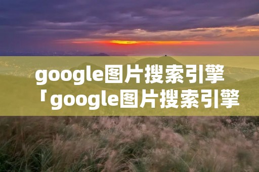 google图片搜索引擎「google图片搜索引擎入库」