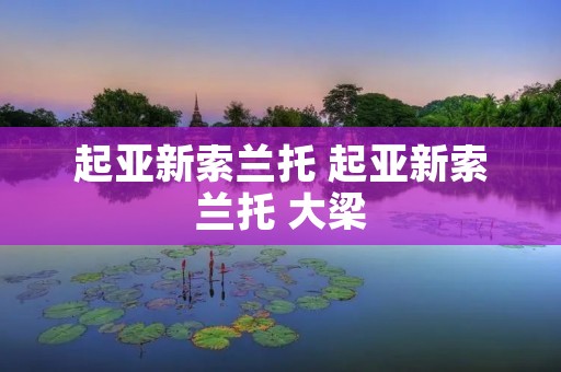 起亚新索兰托 起亚新索兰托 大梁