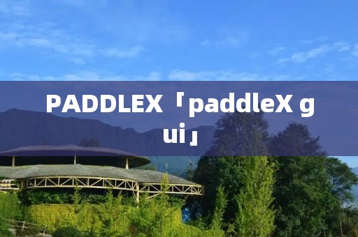 PADDLEX「paddleX gui」