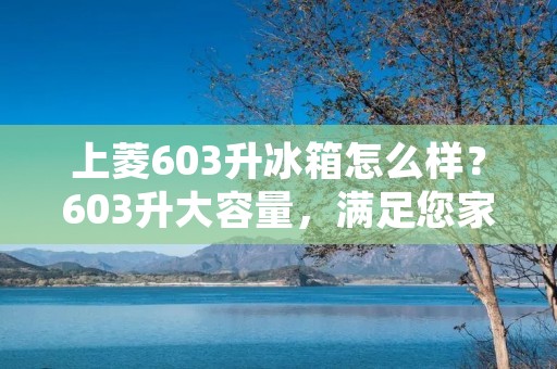 上菱603升冰箱怎么样？603升大容量，满足您家庭的冷藏需求。它采用了最新的制冷技术，能够有效保持食物的新鲜度和口感。不仅如此，它还具有多种智能功能，为您的生活带来便利。