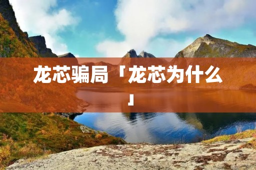 龙芯骗局「龙芯为什么」
