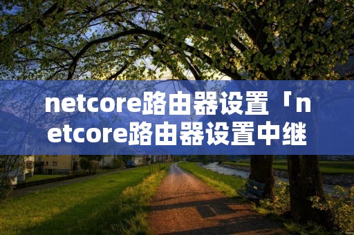 netcore路由器设置「netcore路由器设置中继」 netcore路由器设置「netcore路由器设置中继」