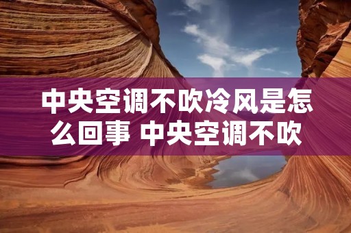 中央空调不吹冷风是怎么回事 中央空调不吹了怎么办