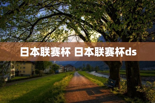 日本联赛杯 日本联赛杯ds