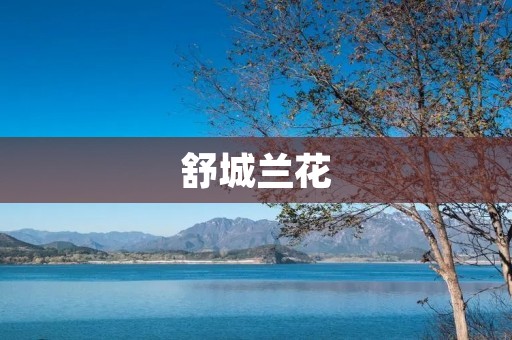 舒城兰花：百年兰香传承的芬芳之旅