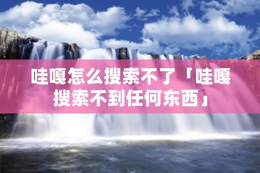 哇嘎怎么搜索不了「哇嘎搜索不到任何东西」
