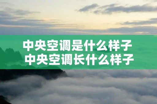 中央空调是什么样子 中央空调长什么样子