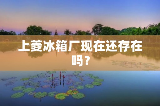 上菱冰箱厂现在还存在吗？