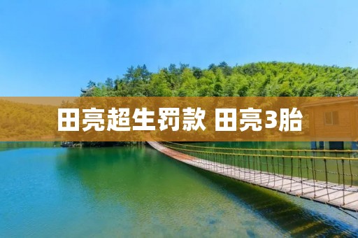 田亮超生罚款 田亮3胎