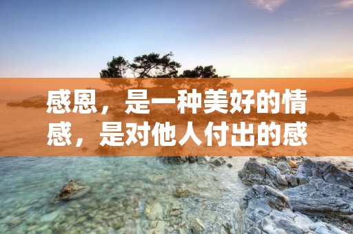 感恩,是一种美好的情感,是对他人付出的感激之情。人们常常在感恩节这一特殊的日子里表达对亲朋好友的感恩之情,但实际上,感恩的心态应该贯穿于我们的日常生活中。 感恩,是一种美好的情感,是对他人付出的感激之情。人们常常在感恩节这一特殊的日子里表达对亲朋好友的感恩之情,但实际上,感恩的心态应该贯穿于我们的日常生活中。