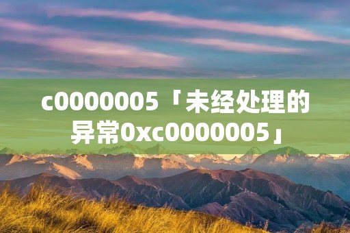 c0000005「未经处理的异常0xc0000005」