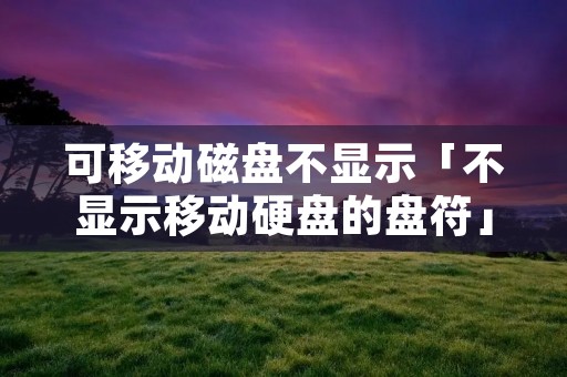 可移动磁盘不显示「不显示移动硬盘的盘符」