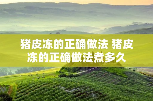 猪皮冻的正确做法 猪皮冻的正确做法煮多久
