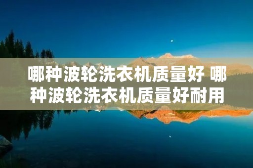 哪种波轮洗衣机质量好 哪种波轮洗衣机质量好耐用