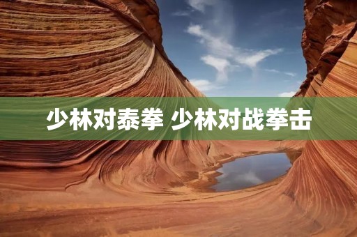 少林对泰拳 少林对战拳击