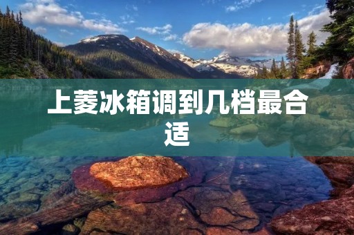 上菱冰箱调到几档最合适
