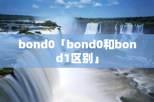bond0「bond0和bond1区别」