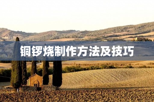 铜锣烧制作方法及技巧:一口咬下,香甜流溢 铜锣烧制作方法及技巧:一口咬下,香甜流溢